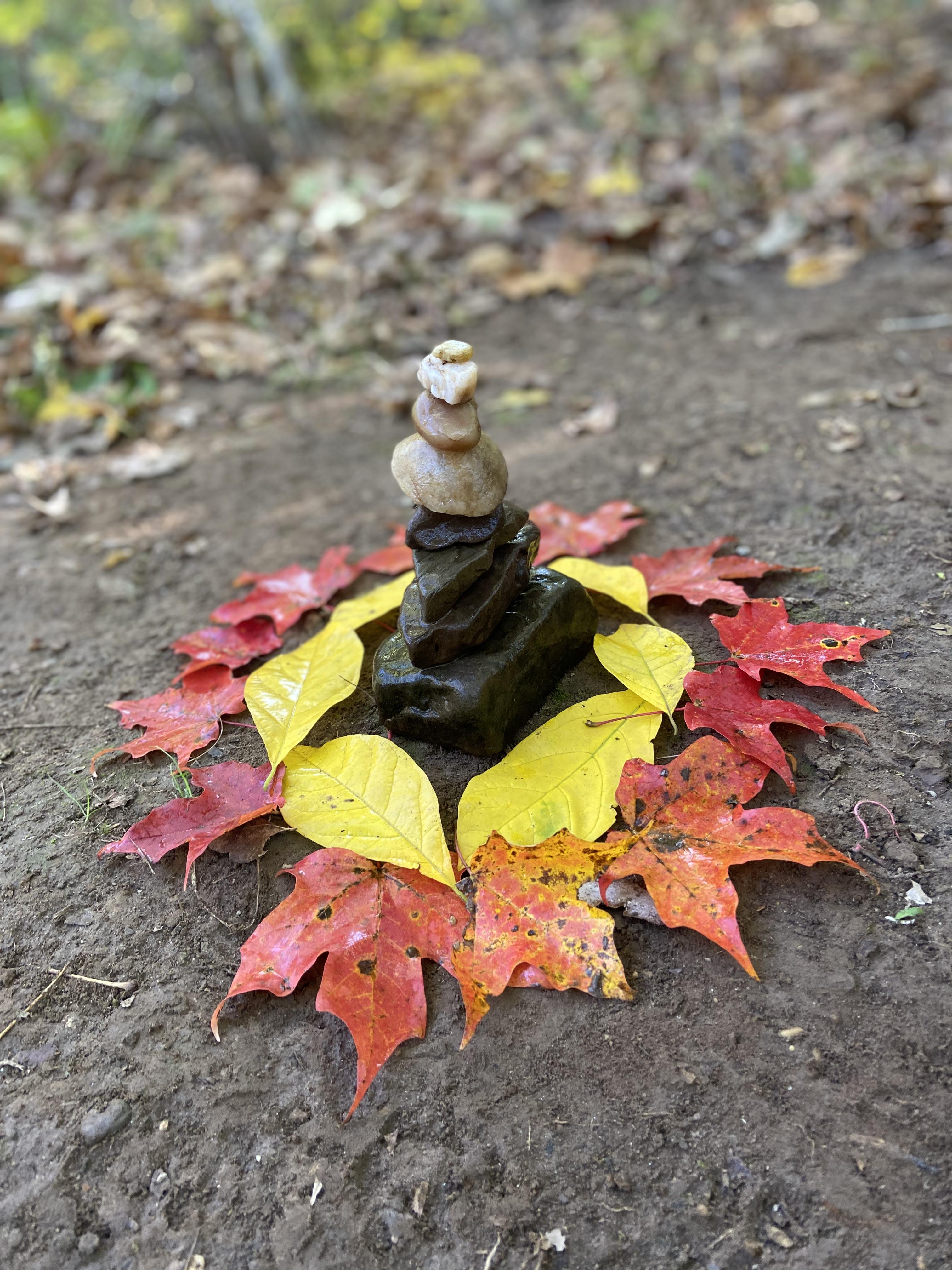 中学 Art Explores Outdoors with Environmental Sculpture Project